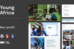 Young Africa: Non-Profit website